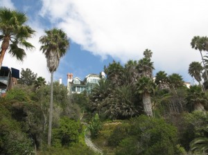 Real Estate with forever views at 1000 Steps Beach