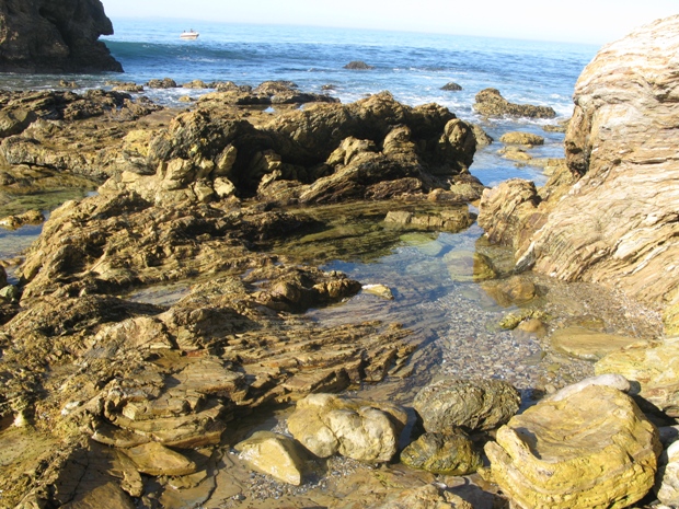 Cameo Shores Beaches and Tide Pools