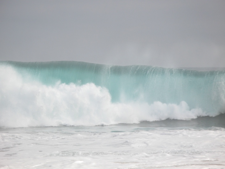 The WEdge