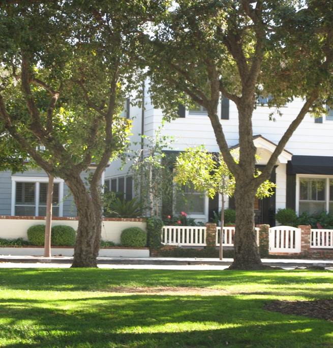Peninsula Point Park