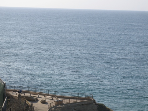 Overlooking the Pacific