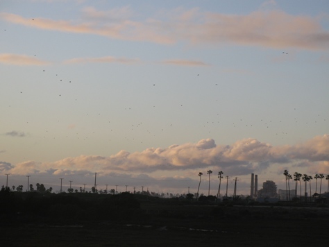 Huntington Beach skies clearing 004