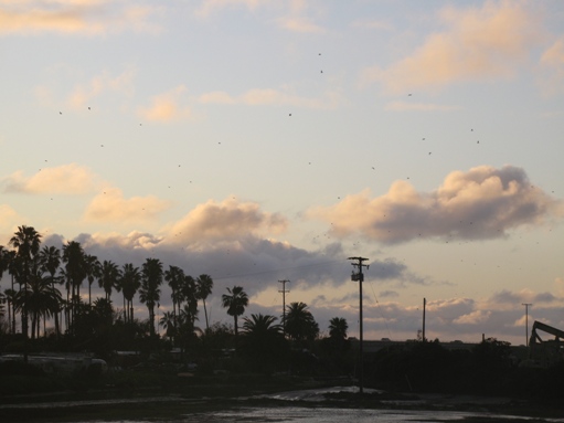 Huntington Beach skies clearing 005