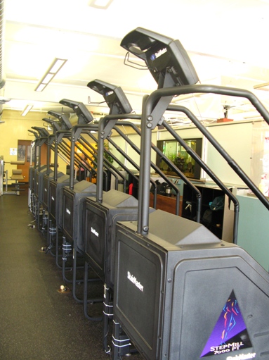 Gold's Gym - stair climbers