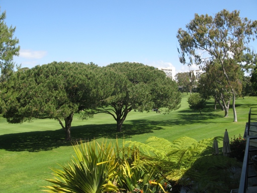 Granville in Newport Beach