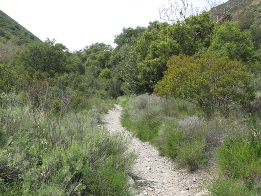trabuco trail