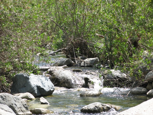 trabuco canyon 3