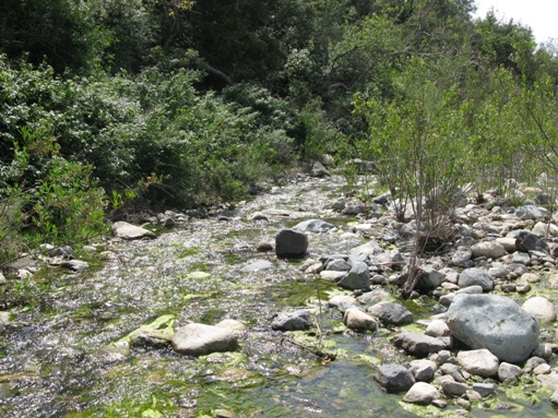 trabuco canyon 8