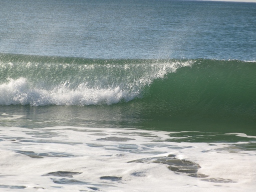 Surfing in Newport Beach