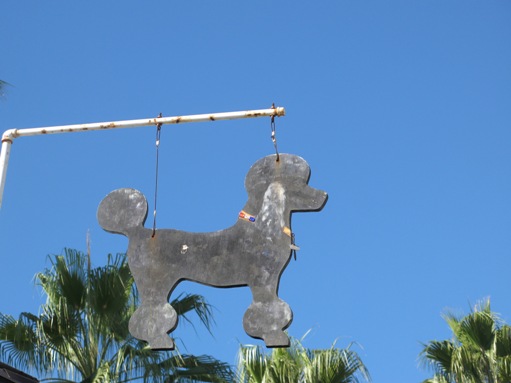 Paw Spa in Newport Beach