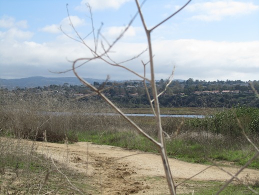 Back Bay in Newport Beach