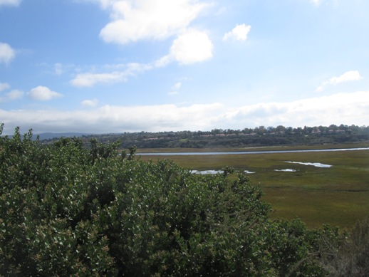 Back bay in Newport Beach