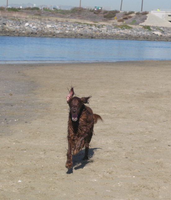 Patrick at the river jetty