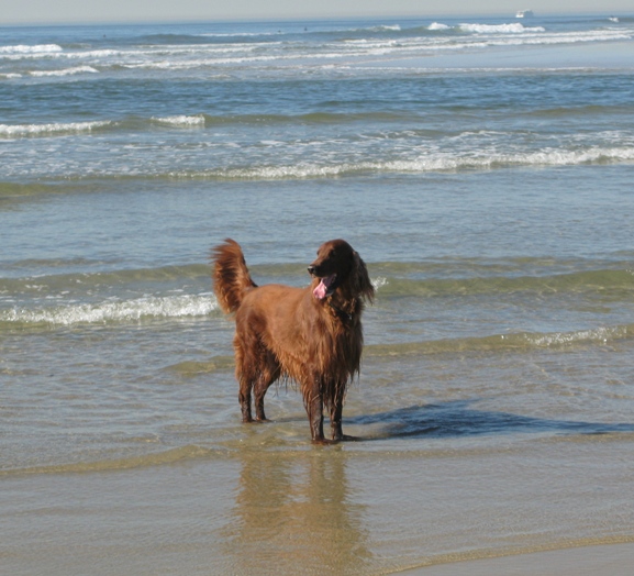 Patrick at the Newport Beach river jetty