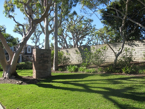 shore cliffs in Corona del Mar