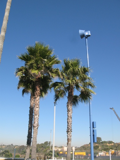 city of Newport Beach emergency notification system