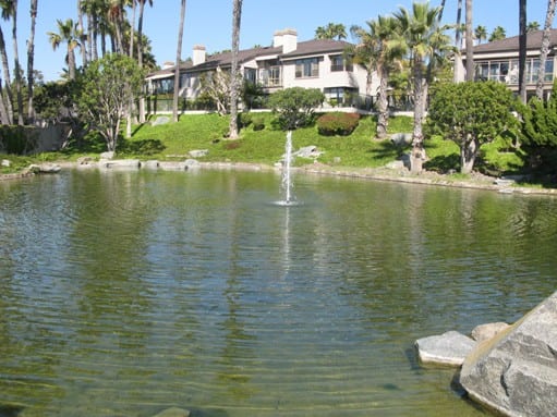 sea island 14 - Copy
