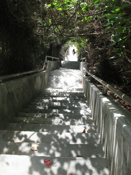 Stairs to 1000 Steps Beach