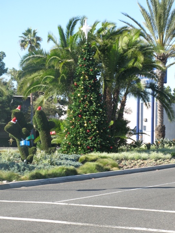 Corona del Mar Christmas Tree