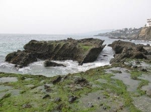 Communities in Laguna Beach victoria beach in laguna beach