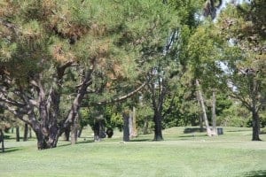 mesa verde in costa mesa, ca