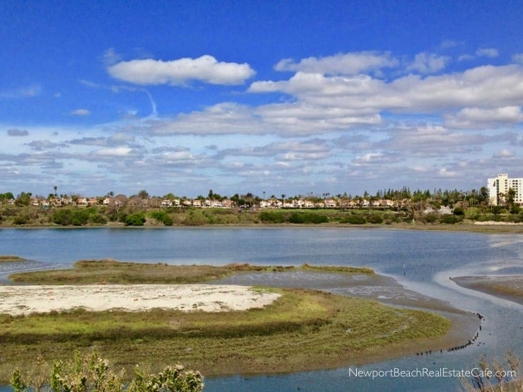 Bayview Terrace Homes for sale in Newport Beach 