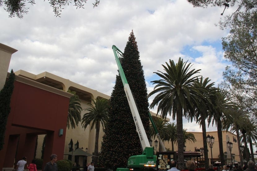 Fashion Island Christmas Tree Decorating Continuiing