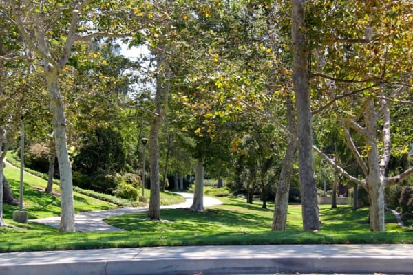 turtle rock trail in irvine