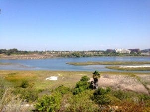 Eastbluff homes for sale