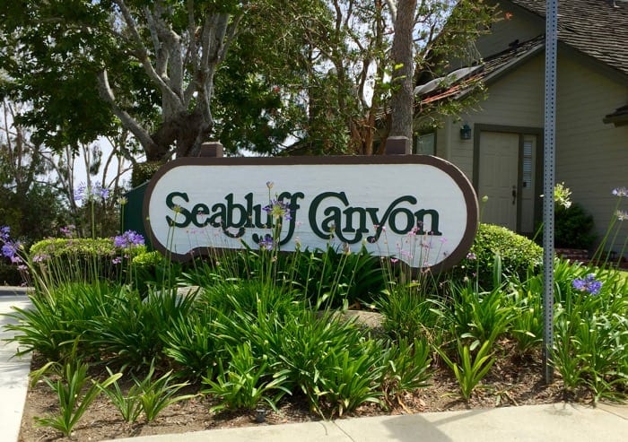 Seabluff Canyon condos for sale
