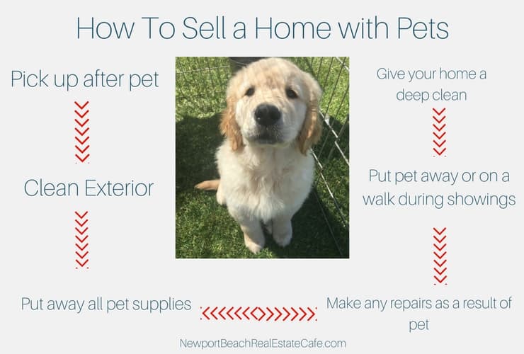 How to Sell a Home with Pets