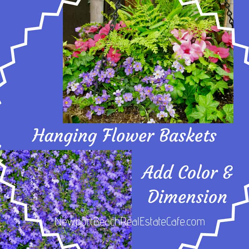 hanging flower baskets