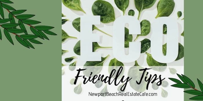 Eco-Friendly Tips for a Sustainable Home