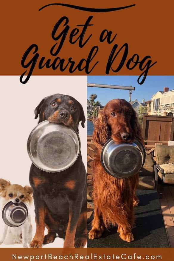 Get a guard dog