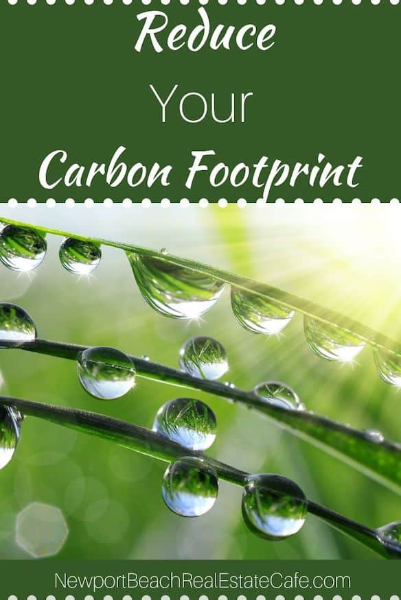 Ways to Reduce Your Carbon Footprint