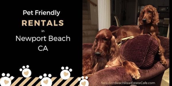 Pet Friendly Homes for lease in Newport Beach