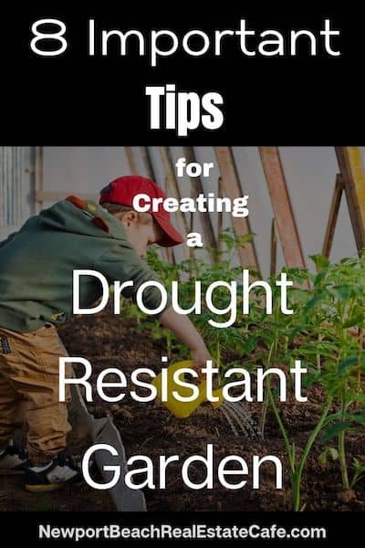 drought resistant garden