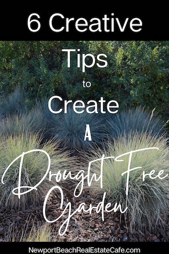 drought resistant garden