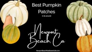 Best Pumpkin Patches in Newport Beach | Where to Buy a Pumpkin