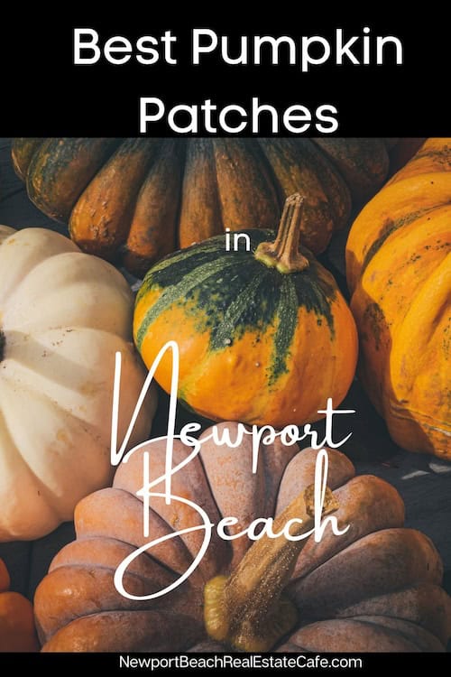 Pumpkin patches