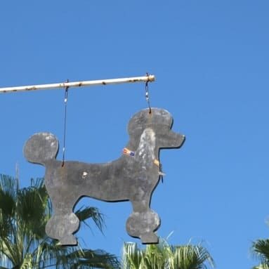 Paw Spa in Newport Beach