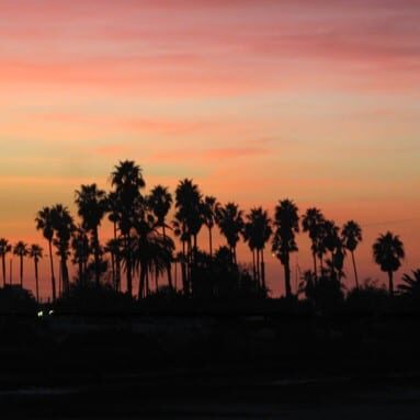 Newport Shores in Newport Beach sunset
