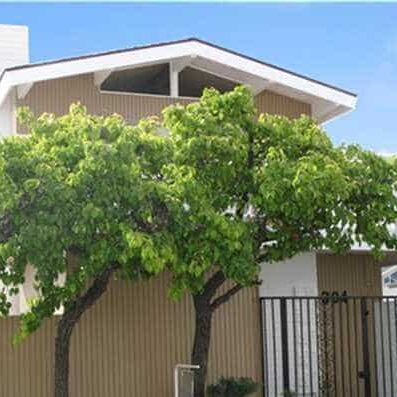 304 Colton, Newport Beach
