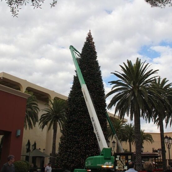 Christmas tree in Fashion Island