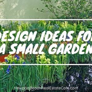 Design Ideas for a Small Garden