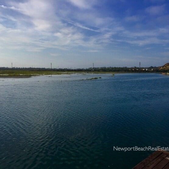 Newport Shores high tide