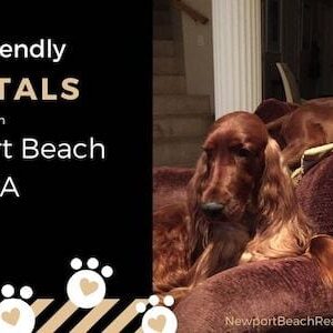 Pet Friendly Homes for lease in Newport Beach