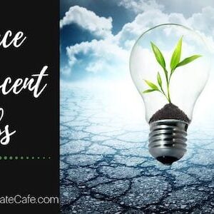 Replace Incandescent Bulbs