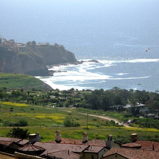 Newport Coast view