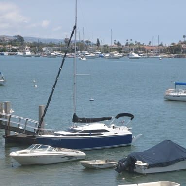 balboa island in newport 
